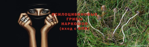 ECSTASY Киреевск