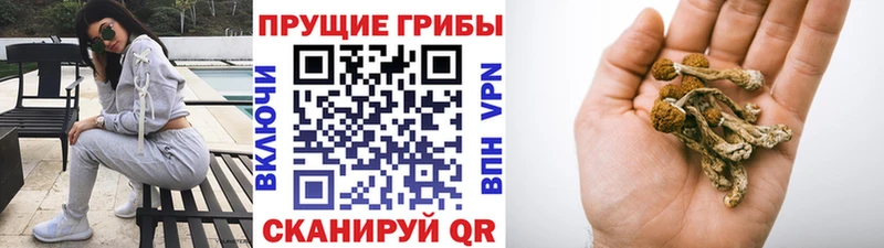 Псилоцибиновые грибы мухоморы  Купить  Серафимович 